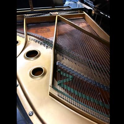 Yamaha G5 Grand Piano 6'6" Ebony Polish Excellent Condition image 9