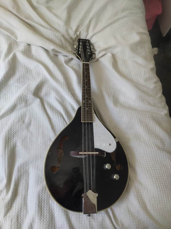 Takamine Mandolin 2020s - Black and white image 1