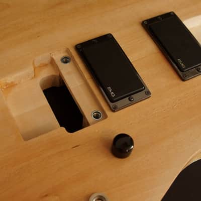 Custom Ibanez body routed for AANJ Wizard neck, and Original Edge tremolo image 2