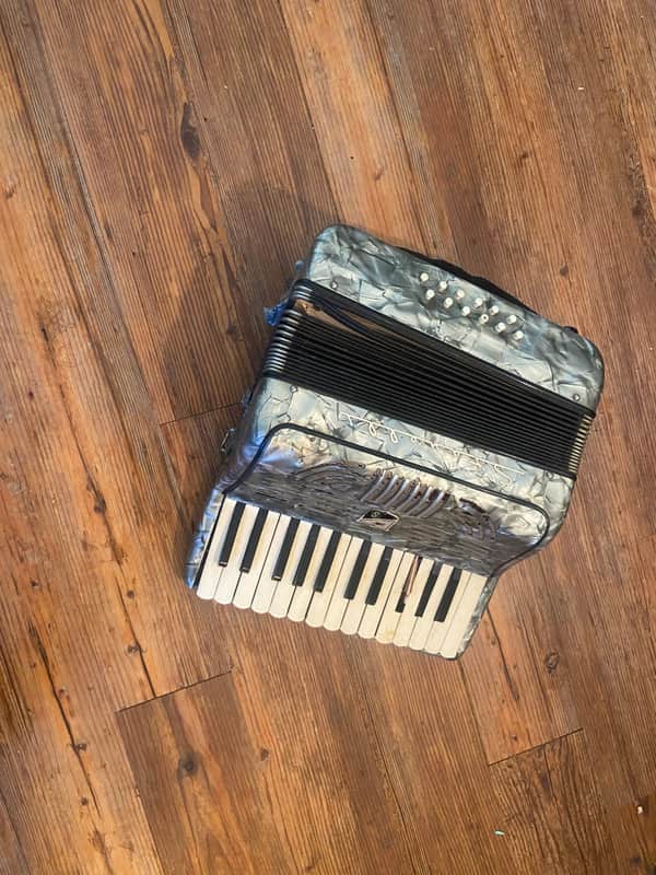 Stanelli  Novice accordion project image 1