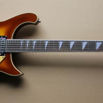Fishbone FTP-BURG-12- String Electric Solid Body Guitar 2013 Burgundy Burst Make an Offer image 13