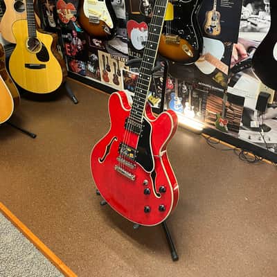 Eastman T386 image 3