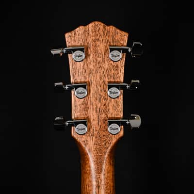 Taylor Gold Label 714e w/ Sitka Spruce Top & Indian Rosewood Back and Sides Acoustic-Electric Guitar 2025 (1208185037) image 8