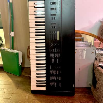 Korg DSS-1, Includes STRAYLIGHT MODS