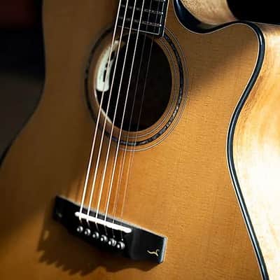 Cort Gold Edge Acoustic-Electric w/ Case, Grand Auditorium Torrefied Solid Spruce Top 1 3/4"(45mm) Nut, Mint image 10