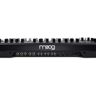Moog Messenger Monophonic Analog Keyboard Synthesizer [DEMO] image 8