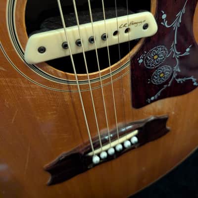D'Agostino J2 Jumbo Acoustic Electric Guitar image 6