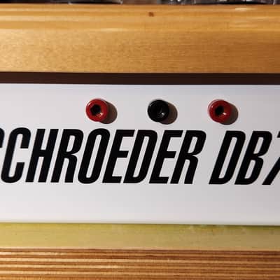 Schroeder 2011 DB7 Custom 40-Watt Head RARE Pamelina Hand-Painted Shell - Serial #48 image 13