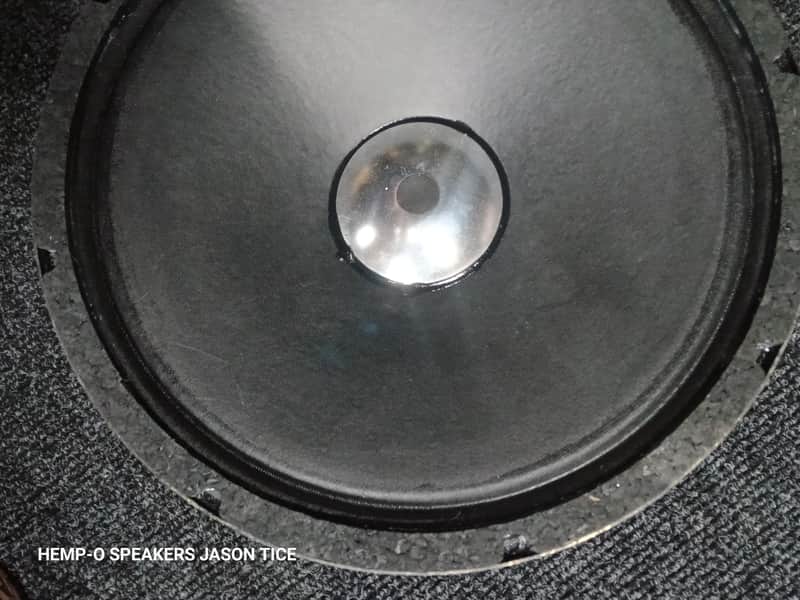 12" SPEAKER BARITONE / DROP TUNI G GUITAR BASS GUITAR 4 LAYER COIL DOUBLE STACKED MAGNET JBL PARTS &  TONALITY
