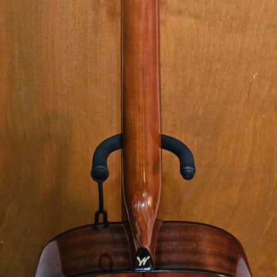 Washburn AF5KA Acoustic image 5
