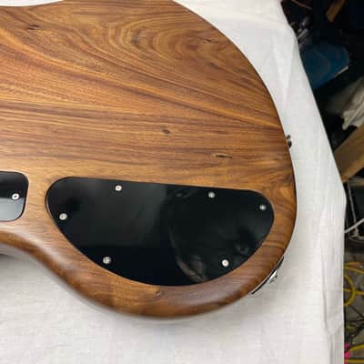 Alien Audio Constellation Bass 4-string P-style Bass image 19