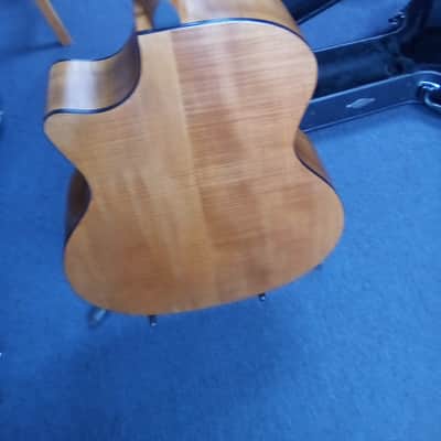 Taylor 314ce ltd 2002 with his case image 7