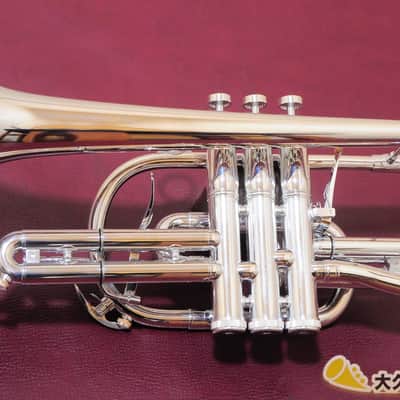 Brasspire Unicorn BPCT-B4S (New) B♭ Cornet image 8
