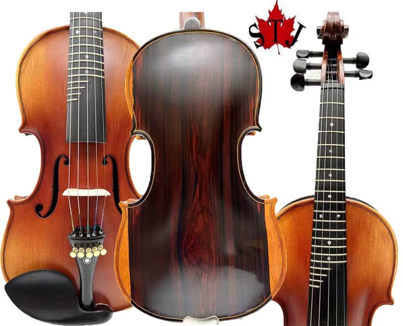 SONG Advanced 5 strings Violin with frets 4/4,Rosewood Violin,Good sound #15378 image 1