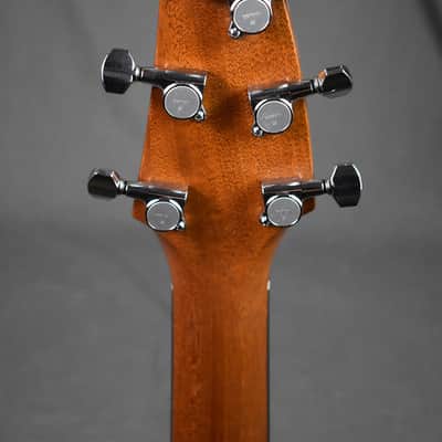 2010 Breedlove Special Edition Focus D image 24