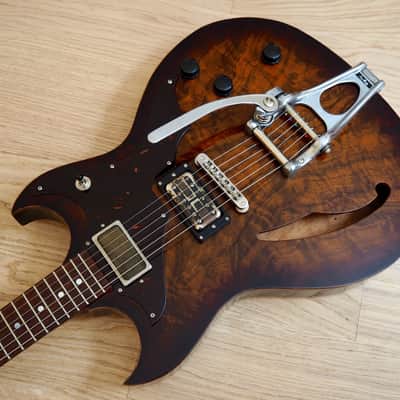 2015 Echopark Custom Crow Case Study Boutique Semi-Hollowbody Electric Guitar w/ ohsc, QOTSA image 8