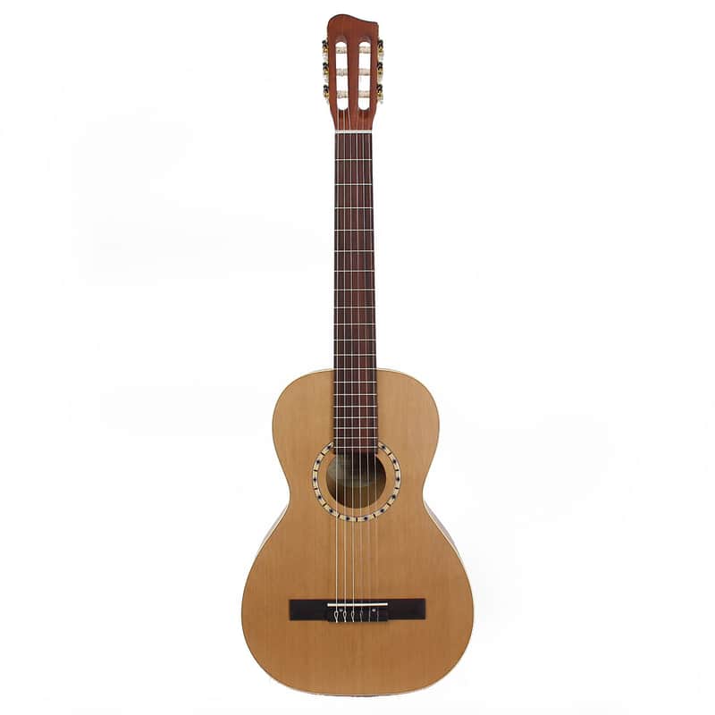 Art & Lutherie Ami Nylon Cedar Acoustic Guitar w/ Gigbag | Reverb