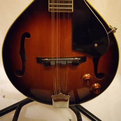Washburn Oscar Schmidt Unknown - Burnt Sienna image 2