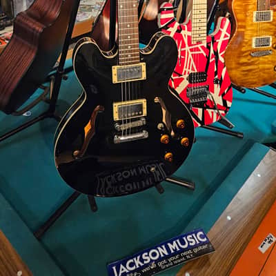 Epiphone The Dot 2004 - Ebony image 1