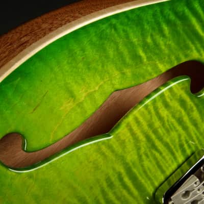 2023 - PRS CE 24 Semi-Hollow - Eriza Verde #364614 image 19