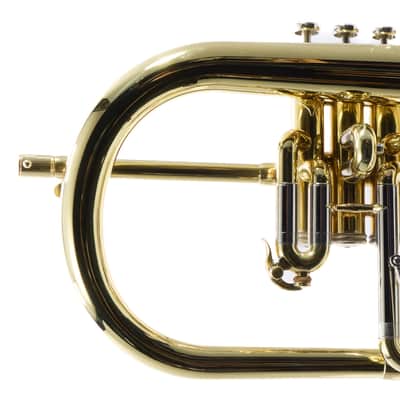 S.E. Shires Model Q19 Q-Series Professional Flugelhorn BRAND NEW image 4