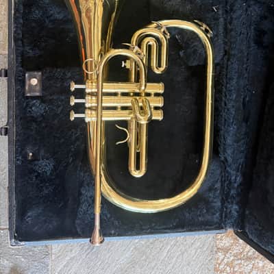 Marching French horn, Dynasty brand image 1