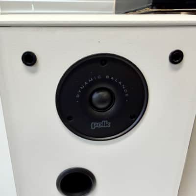 Polk Audio FX300I Dipole Bipole Speakers w/ Mounting Brackets Tested SEE VIDEO image 5