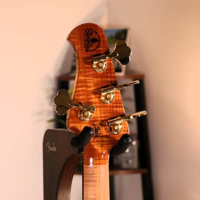 MusicMan StingRay 50th Anniversary - Ebony Fingerboard, Molten Gold image 18