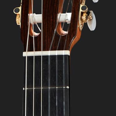 Juan Hernandez Profesor Spruce Flamenca Spanish Flamenco Guitar image 5