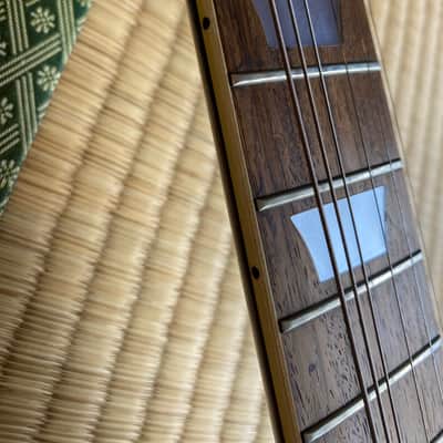 Greco custom EG-480 1976 image 12