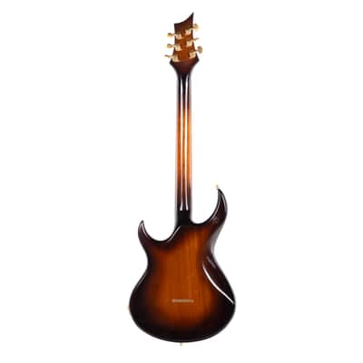 Greg Lake of Emerson, Lake & Palmer Owned & Used Custom Guitar image 11