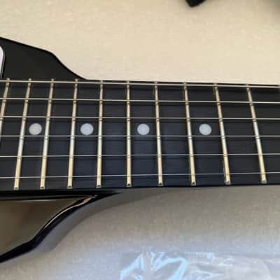 NEW Epiphone Flying V '70s Silverburst 1970s Case Papers_288 image 3