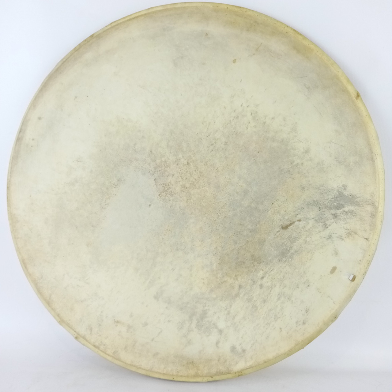 Leedy 15" Calf Skin Snare/Tom Drum Batter Head USA Vintage 10s Indianapolis USA — main photograph