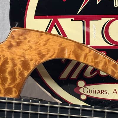 Parker USA FB-5 fb5 Fly 5-string Bass image 2