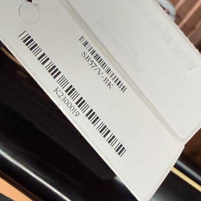 Eastman SB57/V - Black - incl. Case - NEW - 3,746 kg image 10