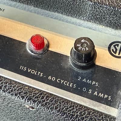 Pine Electronics Paul Model 203 (Chassis 801) Vintage Tube Guitar Amplifier Combo image 4