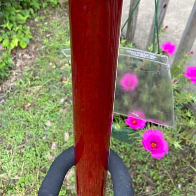 Gibson SG P-90 2023 - Cherry image 9