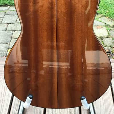 Zager Acoustic-Electric "Parlor" (Truly a 12-Fret 00-000 Size) 2020 Mahogany image 8
