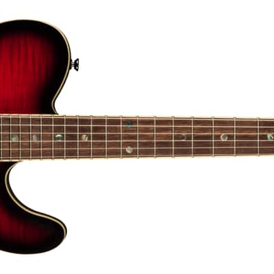 Fender Special Edition Custom Telecaster FMT HH Laurel FB Black Cherry Burst image 1