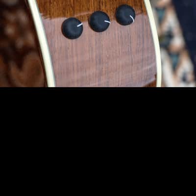 Taylor Custom Madagascar Rosewood Grand Symphony Spruce Top 2011 GS 2011 image 9