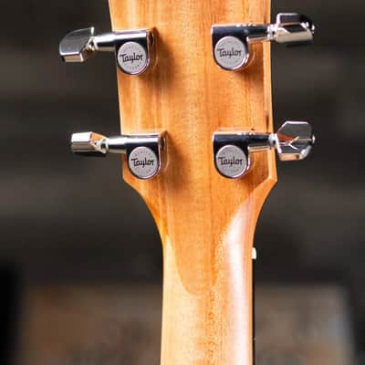 Taylor 217e-SB Plus Grand Pacific Acoustic/Electric Guitar - Sunburst with Aerocase image 6