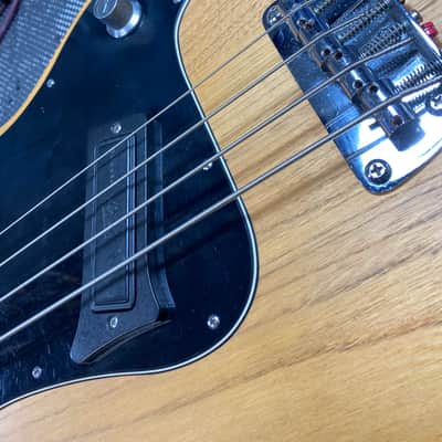 1980's Peavey Fury - Natural - Includes Original Hardshell Case image 11