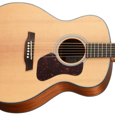 Walden Guitars G550E The Natura Grand Auditorium Acoustic Electric Guitar image 1