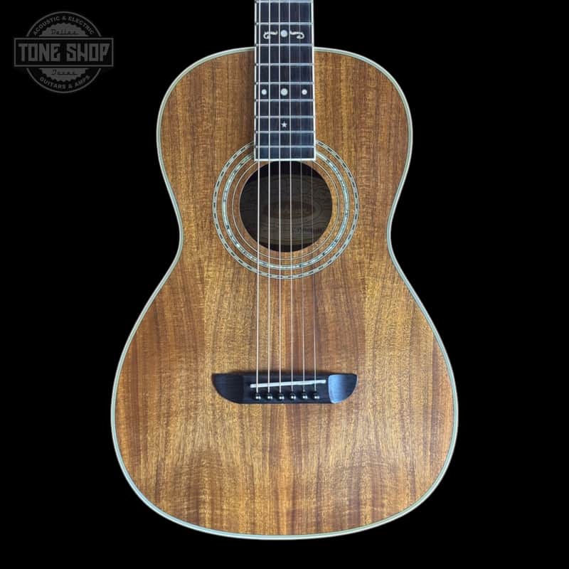 ♪ワッシュバーン・Washburn WP55NS オールコア材♪ L18054000000000