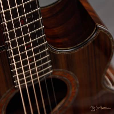 2019 Ryan Signature Series Nightingale, Brazilian Rosewood/Sinker Redwood image 14