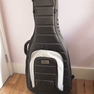 Novo Serus H2 - Silver Fox Burst (Light Distress) image 15