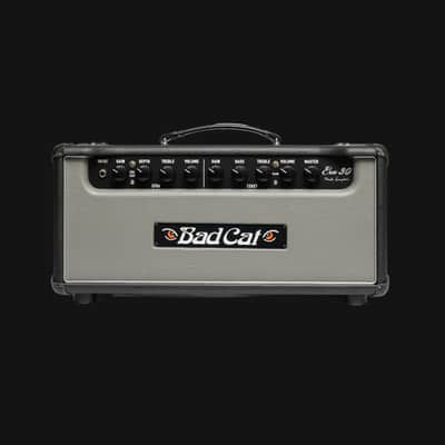 Bad Cat Era 30 Mark Sampson's 30-watts Head Amp - Gray image 1