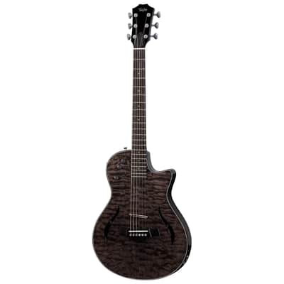 Taylor T5 C1 ブラック　フレイムメイプル (アメリカ製) Taylor T5 C1 ブラック フレイムメイプル (アメリカ製) Taylor T5 C1