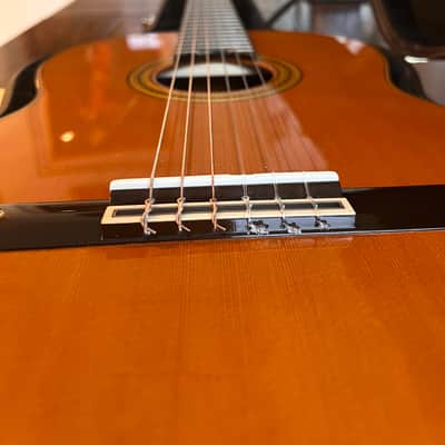 Yamaha GC82 Classical Guitar - Exquisite image 3