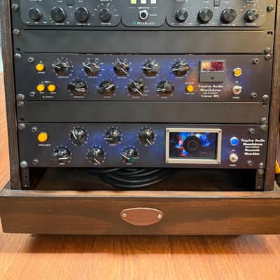 Tegeler Audio Manufaktur Raumzeitmaschine Tube Reverb image 3